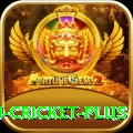 afghanistan cricket Royal v5.8.5