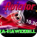 antigua hawksbill Max v5.2.6