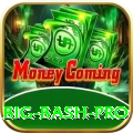 big bash - Champion Earning App