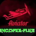 bingopkr Deluxe Pro v1.4.2