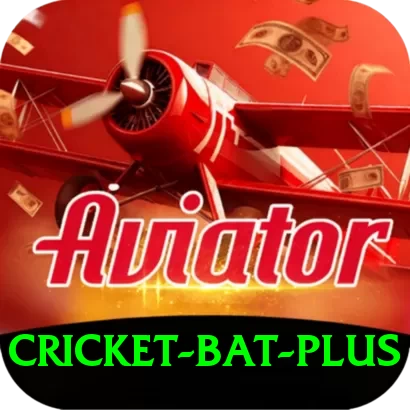 cricket bat - VIP Max - 2
