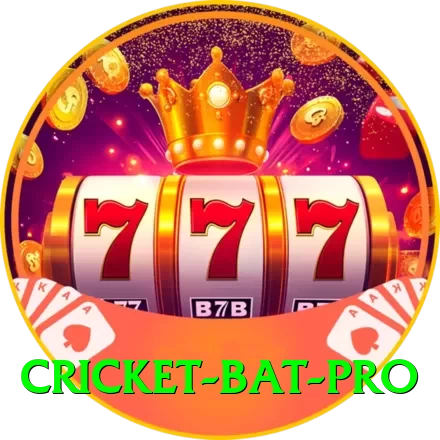 cricket bat Elite Rewards - 2