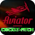 cricket pitch Apps (Tools & Injectors) Plus v3.3.3