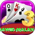 dawid malan Plus Pro v1.1.8