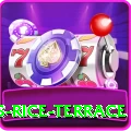 dhampus rice terrace Deluxe Pro v2.9.1