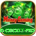 england cricket Slot Machine VIP