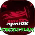 hong kong cricket team Pro Max v3.8.2