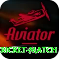india bangladesh cricket match Deluxe Edition v2.6.7