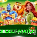 india cricket match VIP v1.1.3