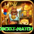 india pakistan cricket match Gold Pro v1.1.7