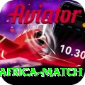 india south africa match Gold Edition v1.5.6