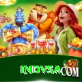 indvsa Pro Edition v1.4.1