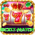 international cricket match Deluxe v1.5.2