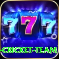 ireland cricket team Games (Casino & Earning) VIP v2.4.3