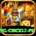 make money betting cricket pk VIP v3.1.5