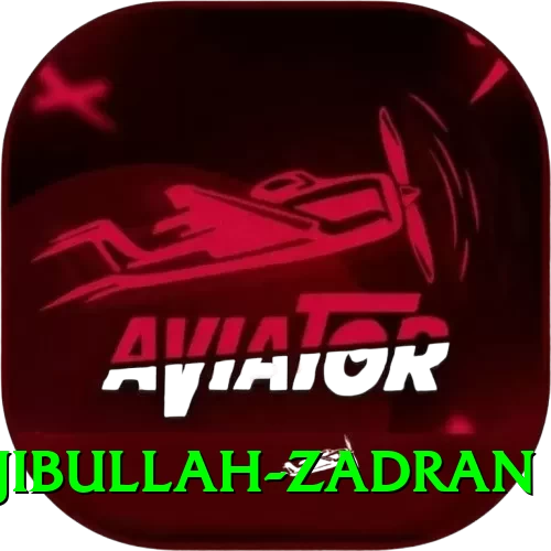 najibullah zadran Deluxe Pro v5.8.8 - 2
