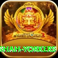 naseem shah yorkers Gold v4.7.7