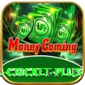 nepal cricket Money Deluxe v5.4.2