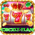 new zealand cricket team Pro v1.2.3