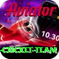 pakistan women cricket team Apps (Tools & Injectors) Premium v4.2.2