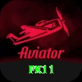 pk11 Turbo v3.1.3