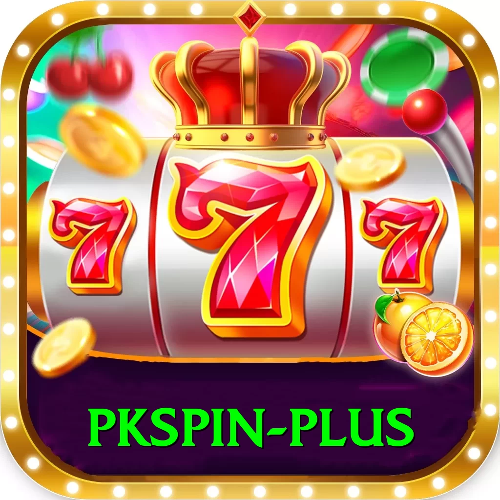 pkspin Max v5.5.5 - 2