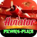 pkwin VIP Pro vv1.7.0