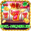 powerball winning numbers VIP Pro v5.3.5