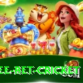 risk free bet cricket Pro v4.6.2