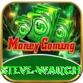 steve waugh Gold v4.9.8