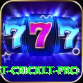 test cricket Champion v5.4.1