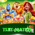 test match Apps (Tools & Injectors) Master v4.6.3