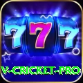 v cricket PK Ultimate