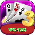 wc t20 Pro Edition v4.1.9