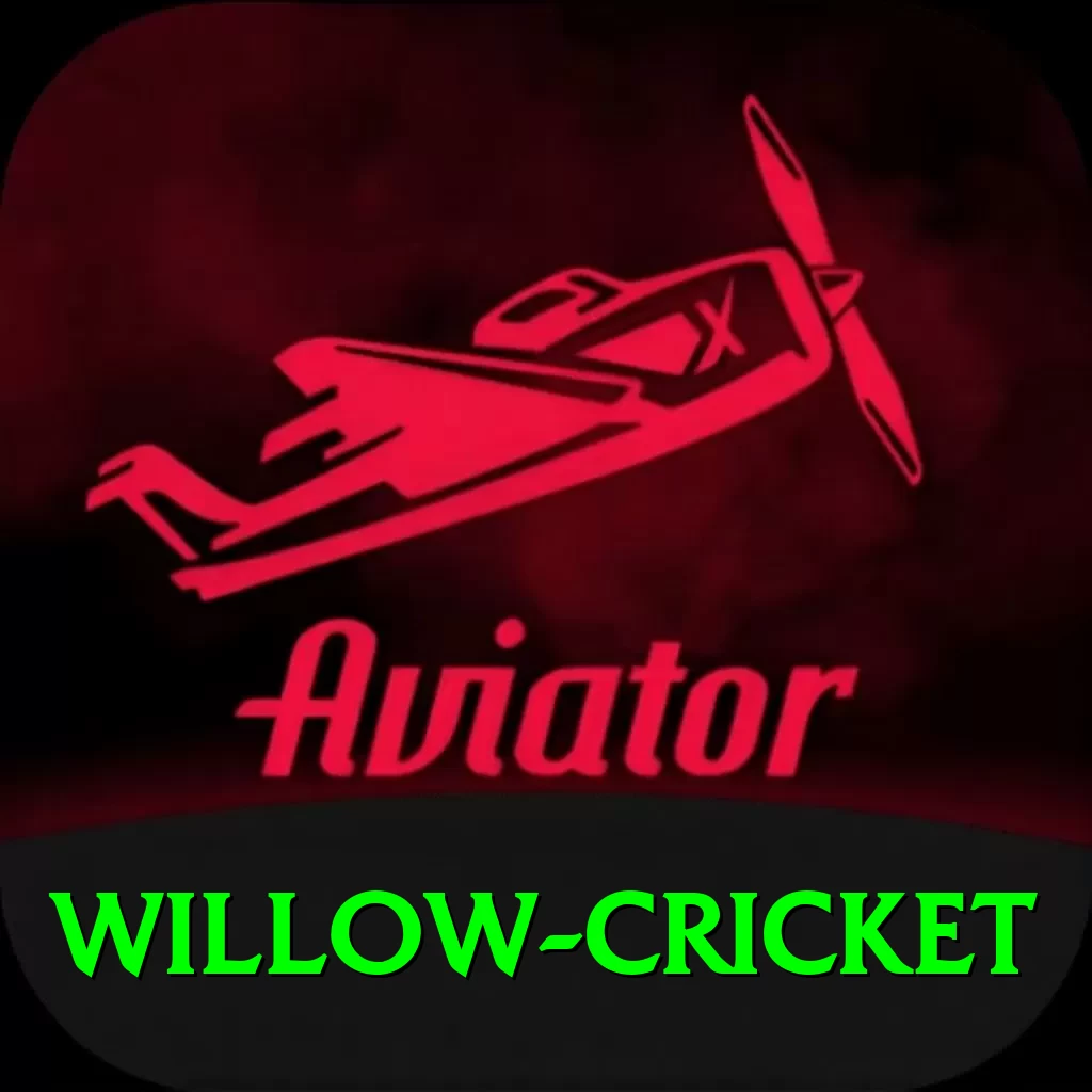 willow cricket Max v2.0.3 - 2