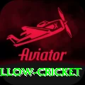 willow cricket Max v2.0.3