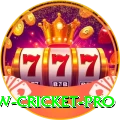 willow cricket Premium Jackpot