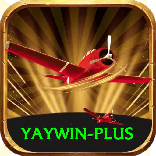 yaywin VIP Edition v4.5.5 - 2